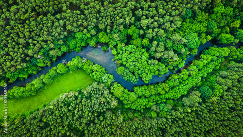 Aerial view of serpentine river through lush forest © Bryan