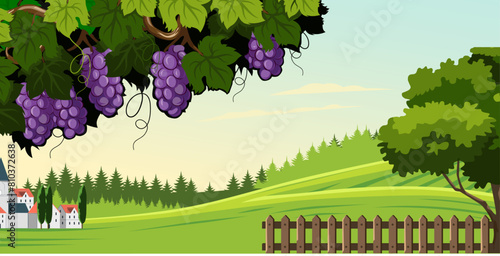 illustration of a rural scene with grapevines creeping around