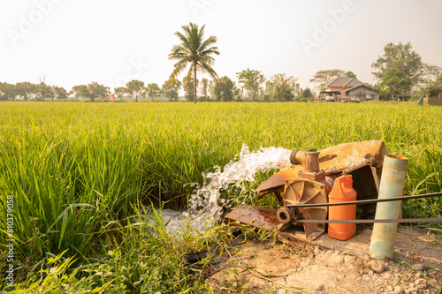 A water pump while transfer water into rice field. This can be used to transfer water from one place to be used for drinking water or irrigation.