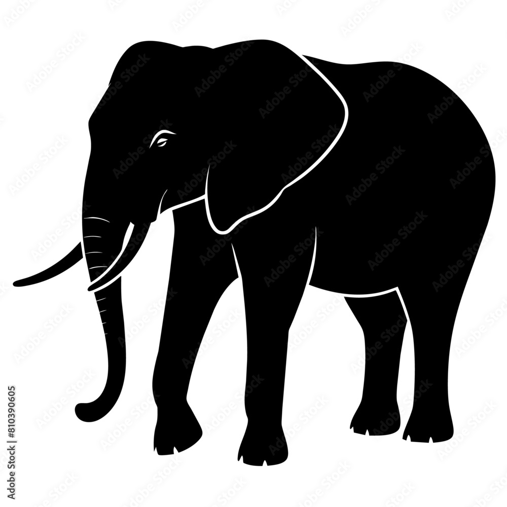 Fototapeta premium vector silhouette of an African elephant pose on a white background (9)