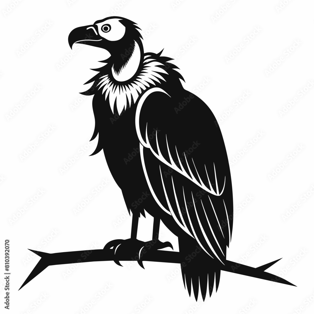 Fototapeta premium Big griffon vulture ‍flying vector silhouette (12)