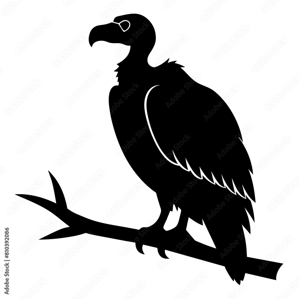 Fototapeta premium Big griffon vulture ‍flying vector silhouette (20)