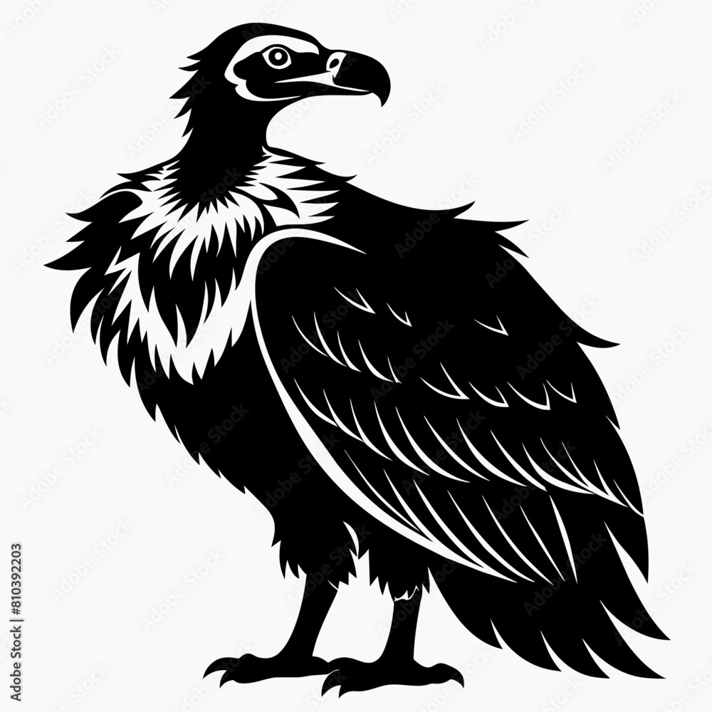 Big griffon vulture flying vector silhouette (36) Big griffon vulture flying vector silhouette (36)