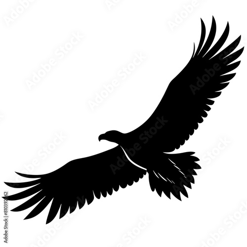 Big griffon vulture ‍flying vector silhouette (45)