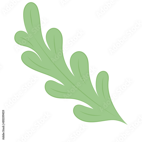 Isolated summer green leaf icon Vector illustration