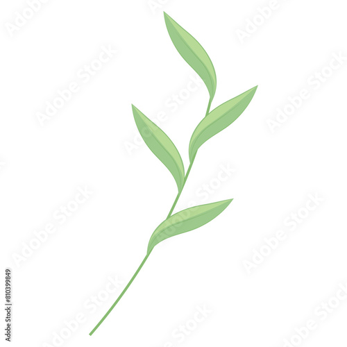 Isolated summer green leaf icon Vector illustration