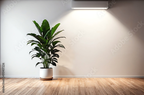 photo empty white wall interior with small potted plant top lighting