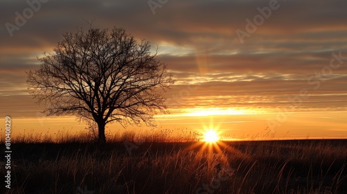 A solitary tree stands outlined against a vivid sunset  casting long shadows over a golden field  evoking a sense of tranquility and the beauty of nature