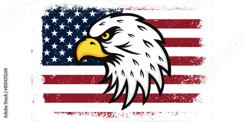 Flat design grunge United States Eagle flag background