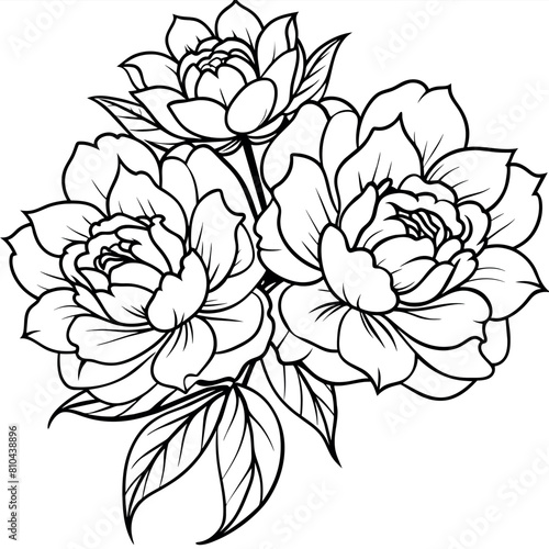 Peony Flower outline illustration coloring book page design  Peony Flower black and white line art drawing coloring book pages for children and adults