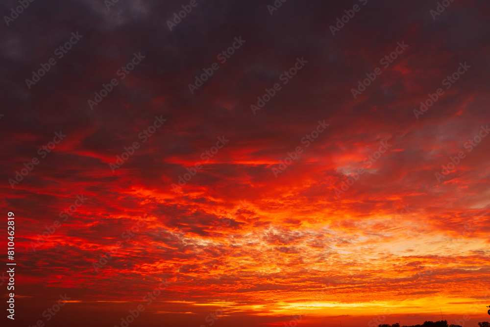 Fototapeta premium Tropical amazing dramatic golden sky on sunset over scenic river lake seascape ocean. Silhouette tranquil season wilderness serene landscape. Tranquil lake countryside sunrise seaside reflection