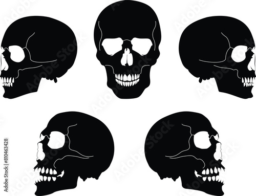 set of silhouette human skull on transparent background, vector design