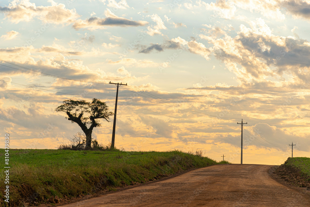 Obraz premium Landscapes of the pampas at dusk in southern Brazil