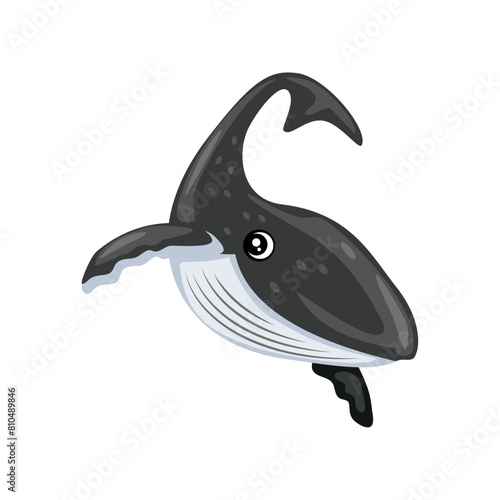 whale animal underwater