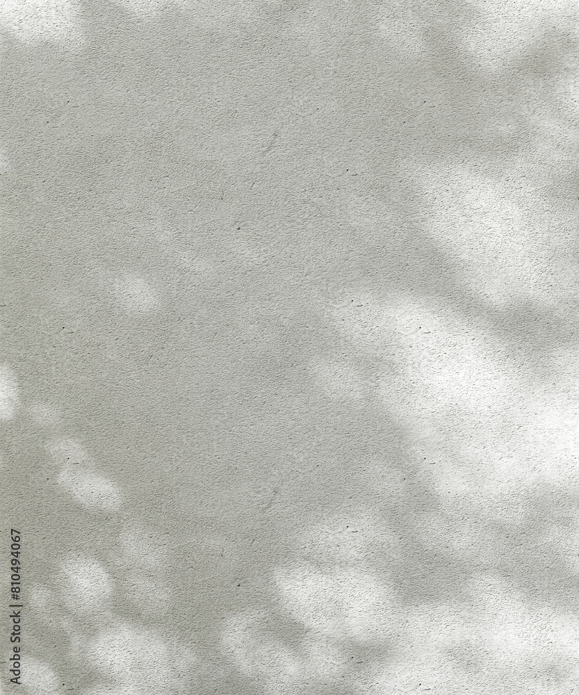 Blank gray concrete wall with texture, sunlight cast dappled light, leaf foliage shadow for modern, luxury organic beauty, cosmetic, skincare, body care product background 3D Blank gray concrete wall with texture, sunlight cast dappled light, leaf foliage shadow for modern, luxury organic beauty, cosmetic, skincare, body care product background 3D