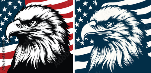 Flying Eagle over the american flag Vector Silhouettes seat on white backgraund in two variants.