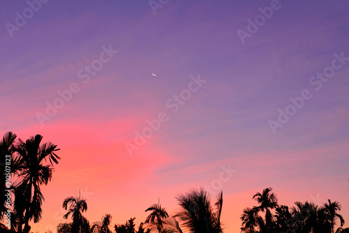 Silhouette of dramatic sky during sunset over palm tree