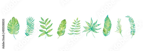 水彩画。水彩タッチで描いた南国の葉っぱ素材。夏のベクター葉っぱイラスト。Watercolor painting. Tropical leaves with watercolor touch. Summer vector leaf illustration.