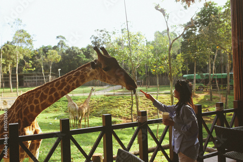 Feeding a giraffe in a safari