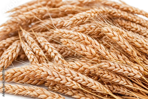 Golden Wheat Stalks Close-Up