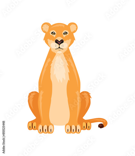 lion female animal isolated