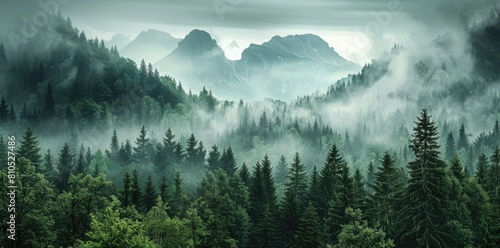 Misty Morning Fog in the Forest Mountains Peak Pine Tree Winter Landscape. Tranquil Dense Green Forest Aerial View, Mystical Background.