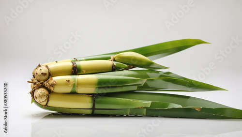 sugarcane on white bckground