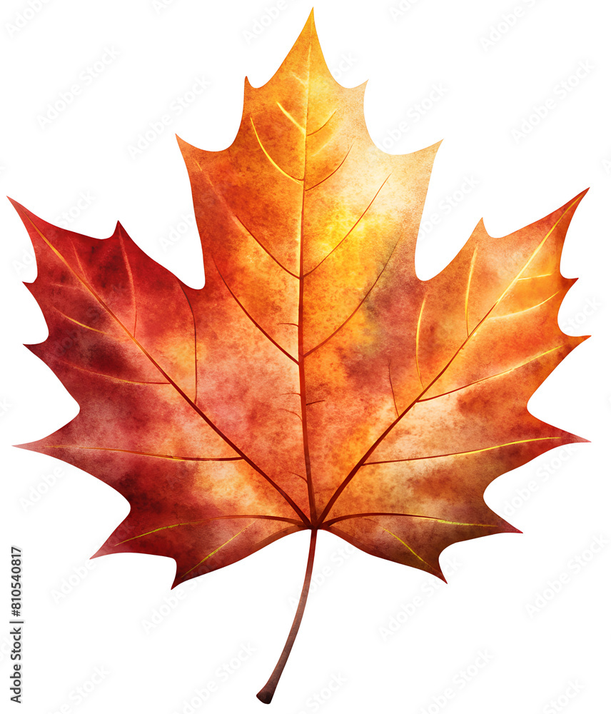 Obraz premium autumn maple leaf, generative aI