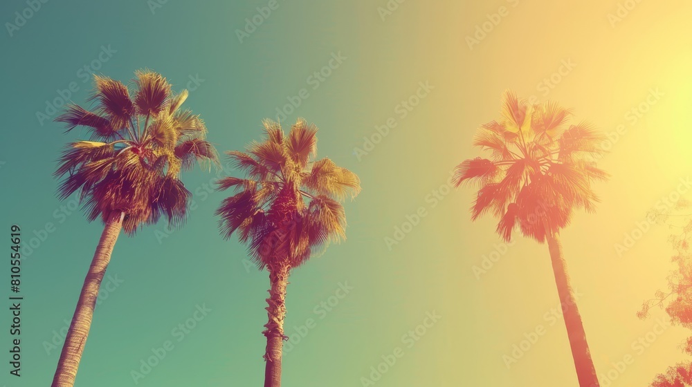 Obraz premium Three palm trees against a sunny backdrop with a blue sky in the distance and a yellow-blue gradient sky in the foreground
