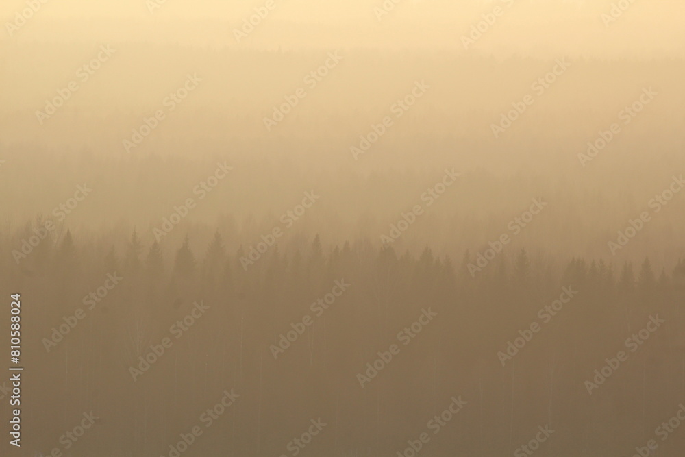 misty morning mist misty morning mist