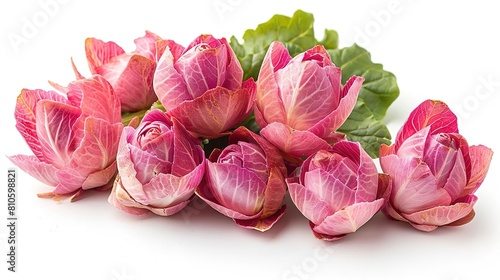 A bouquet of pink roses made of cabbage on a white background.