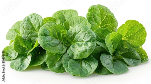 A close-up photograph of a handful of fresh, green leaves