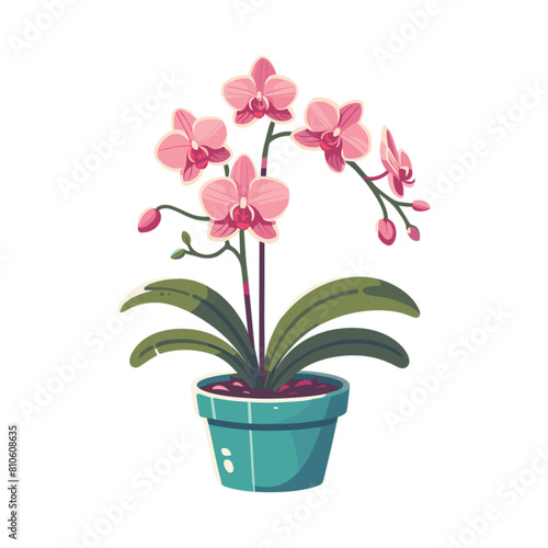 stylized illustration of home plant in a pot pink orchid