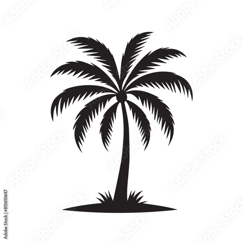 Silhouette coconut tree black vector illustration