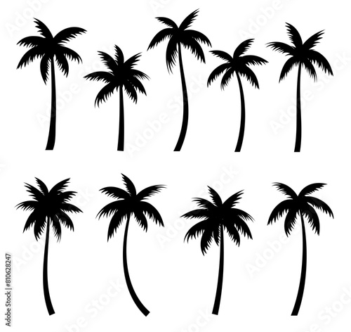 Palm trees silhouettes summer set. Palm trees isolated on white background.