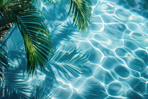 Palm tree shadow on water