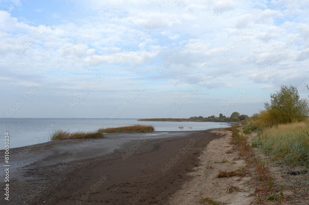 Fototapeta premium The coast of the Curonian Lagoon. Kaliningrad region