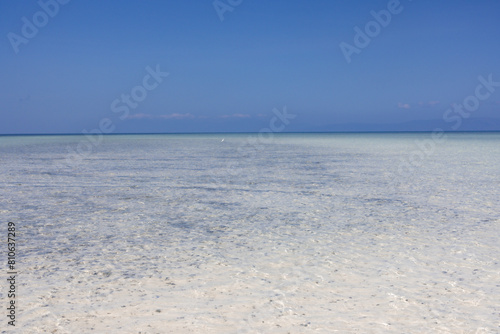 Perfect sandbar  crane fishing