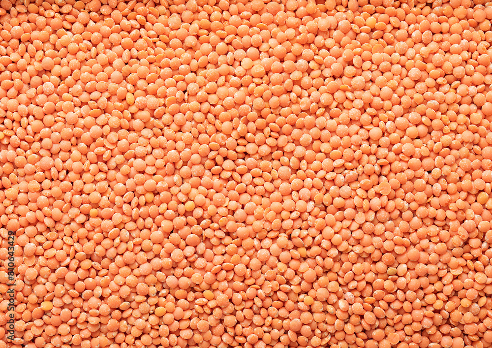 Orange raw healthy organic lentils grain seeds textured background.Macro. Orange raw healthy organic lentils grain seeds textured background.Macro.