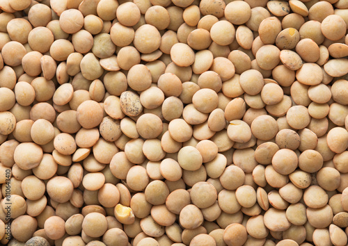 White raw healthy lentils grain seeds textured background.Macro.