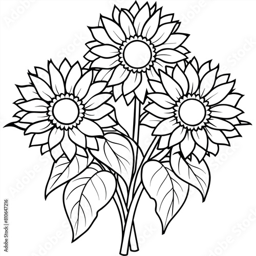 Sunflower flower outline illustration coloring book page design   Sunflower flower black and white line art drawing coloring book pages for children and adults