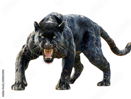 A black panther is a black variant of the leopard Panthera pardus © Stone Story