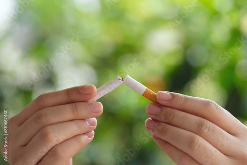 Obraz na plátně Women hand crushing cigarette on green background, Concept Quitting smoking, World No Tobacco Day