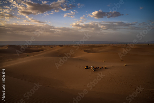 Fototapeta Naklejka Na Ścianę i Meble -  Sahara sands, Morocco