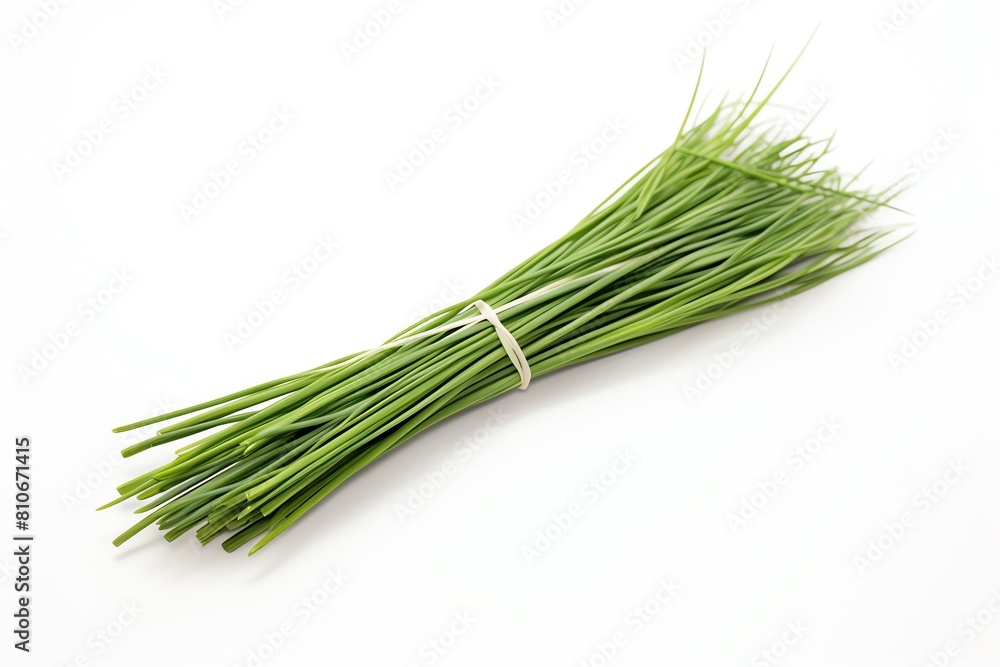 Photo of Chives, Isolated on white background Photo of Chives, Isolated on white background