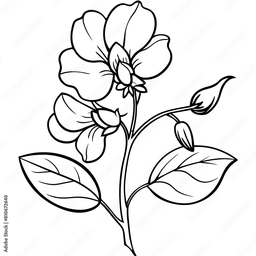 Fototapeta premium Sunflower flower outline illustration coloring book page design, Sunflower flower black and white line art drawing coloring book pages for children and adults