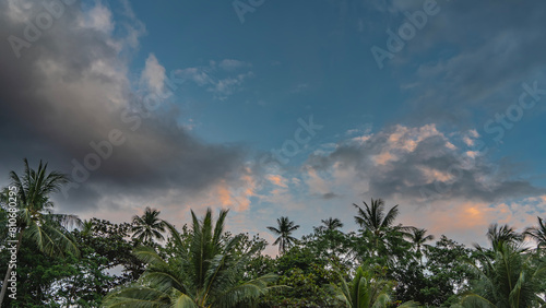 The clouds in the blue evening sky are highlighted in pink. In the lower part there are green spreading leaves of palm crowns. Copy space. Philippines