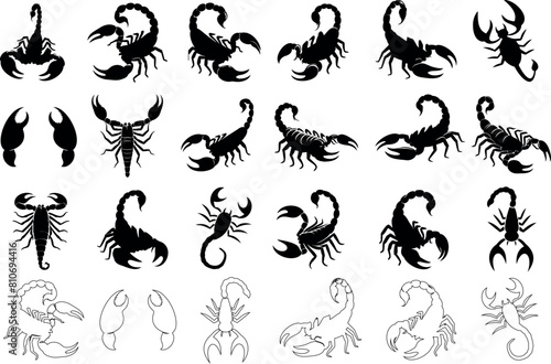 Scorpion silhouette set, Scorpion vector collection on white. detailed Scorpions line illustrations, various poses, styles. Perfect for tattoos, logos, icons
