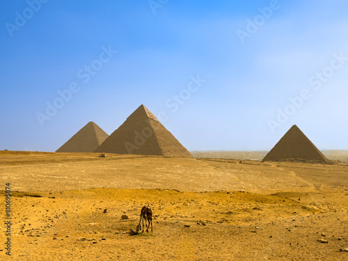 Pyramids of Giza
