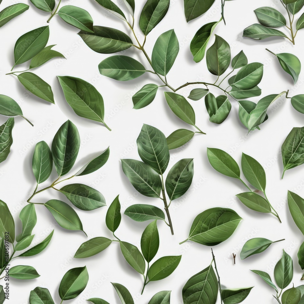 A pattern of green leaves on white paper
